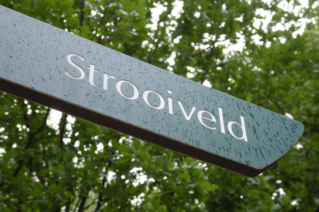 Strooiveld