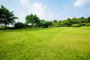 Begraven in eigen tuin